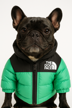 Chaqueta Pro-Winter — Ultraligera y Resistentes al Viento y Lluvia | PattaChic™