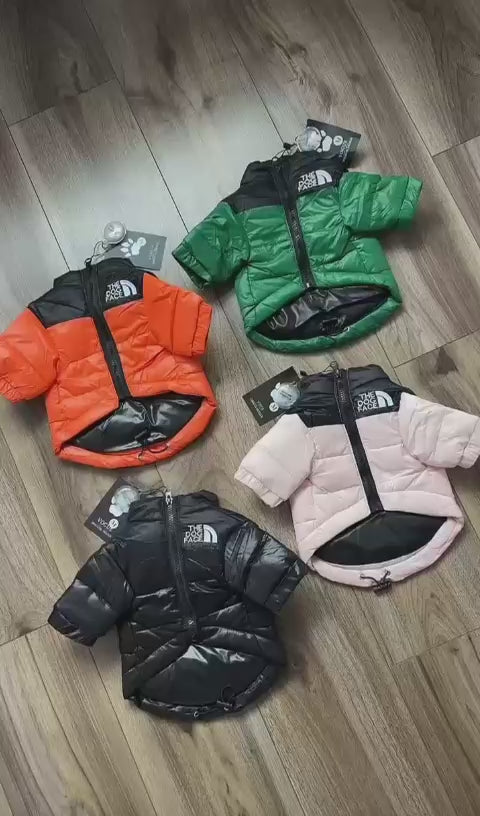 Chaqueta Pro-Winter — Ultraligera y Resistentes al Viento y Lluvia | PattaChic™